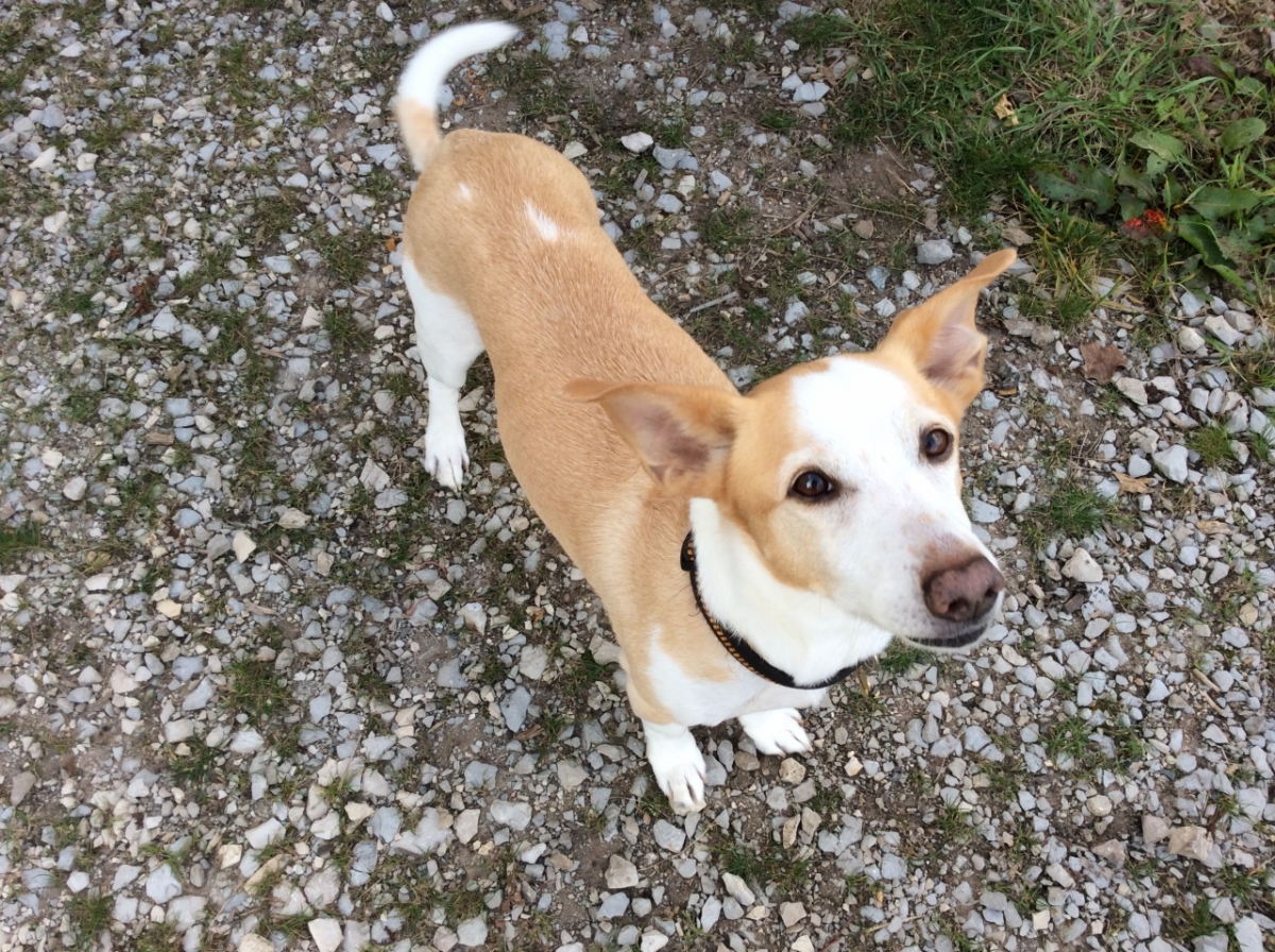 2F522D87-36A0-46A4-A573-282454D10CE4