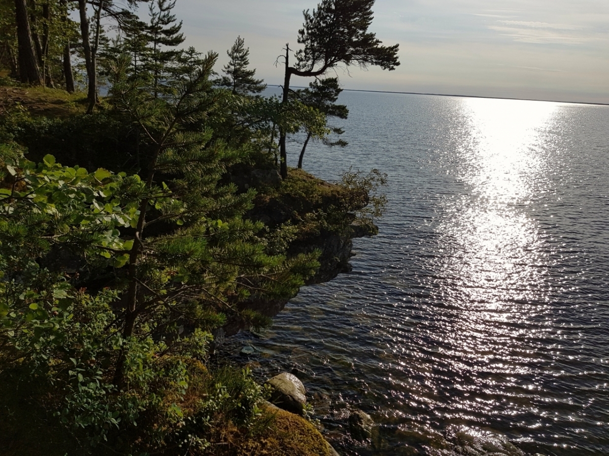 42978563081_138f5482d5_o