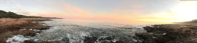 11E3EE97-590F-49AC-8D86-6D819EFAFAE9