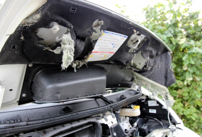 Motorhaubendämmung 2