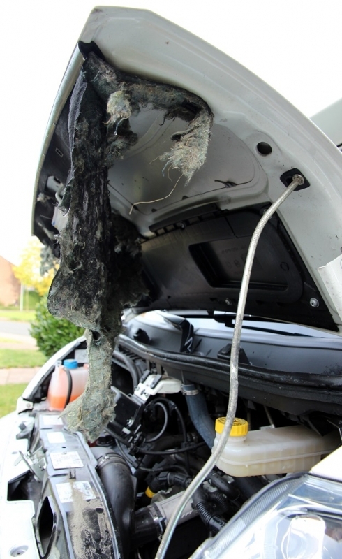 Motorhaubendämmung 3