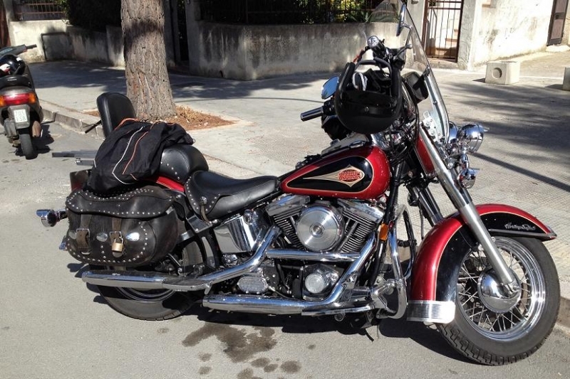 Lady of harley