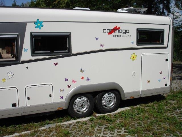 Schmetterlinge - Hinten