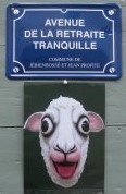 Benutzeravatar