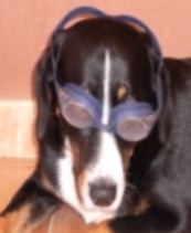 Benutzeravatar